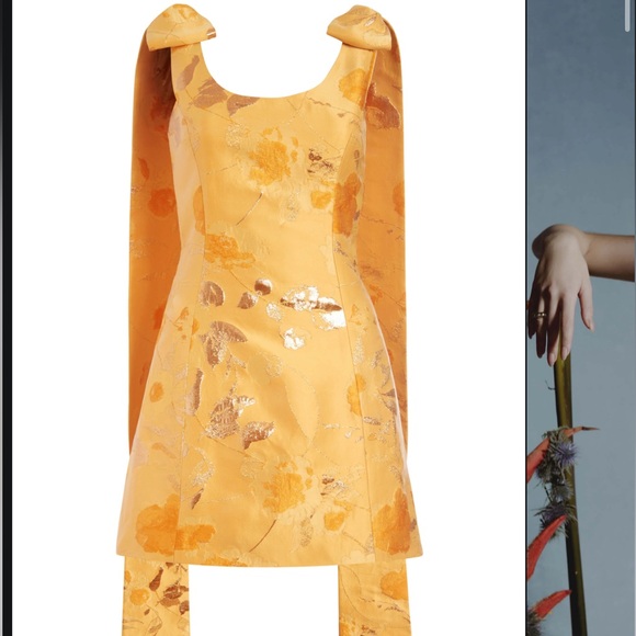 Markarian Gita Brocade dress - Picture 2 of 5